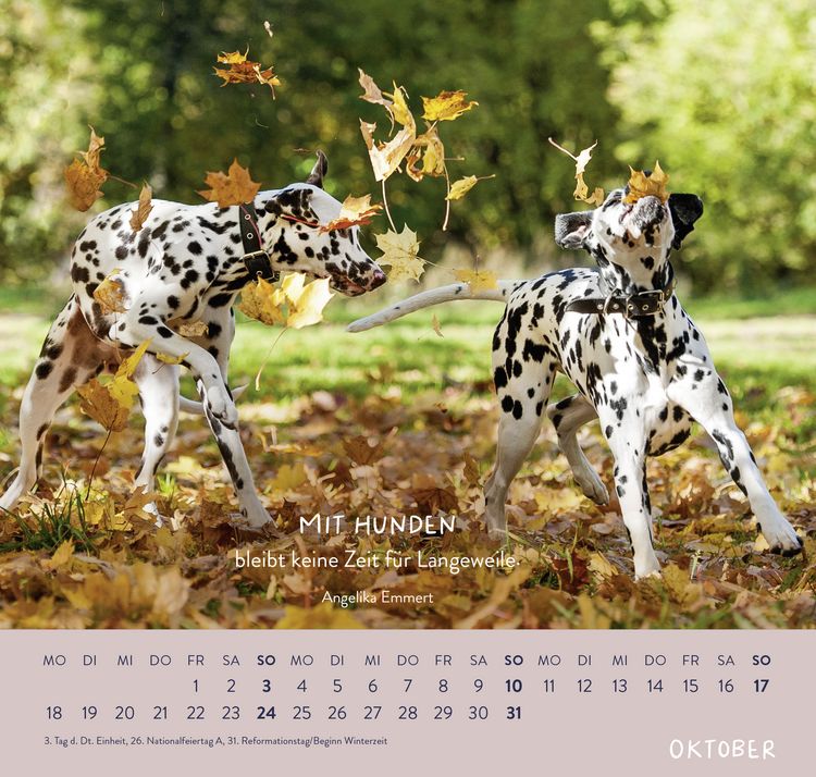 Produktbild: Wandkalender 2027: F&uuml;r Hundefreunde