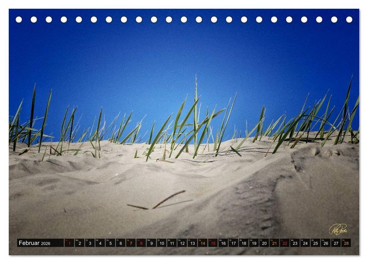 Produktbild: Nordsee-D&uuml;nen (Tischkalender 2026 DIN A5 quer), CALVENDO Monatskalender