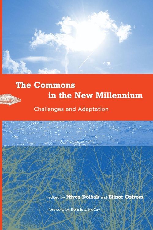 Produktbild: The Commons in the New Millennium