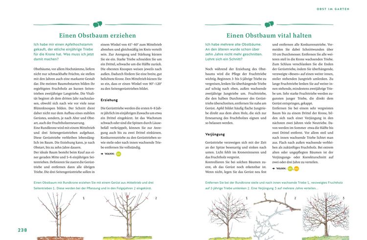 Produktbild: G&auml;rtnern f&uuml;r Gartenneulinge