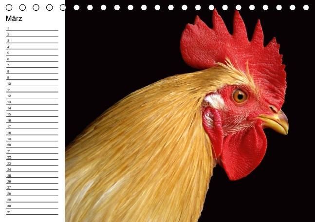 Produktbild: H&uuml;hner / Geburtstagskalender (Tischkalender immerw&auml;hrend DIN A5 quer)