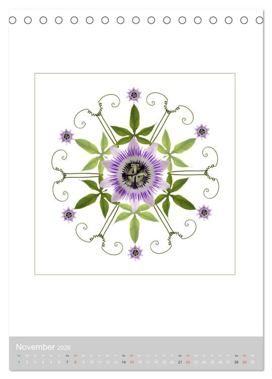 Produktbild: Pflanzen - Mandalas aus Bl&uuml;ten und Bl&auml;ttern (Tischkalender 2026 DIN A5 hoch), CALVENDO Monatskalender