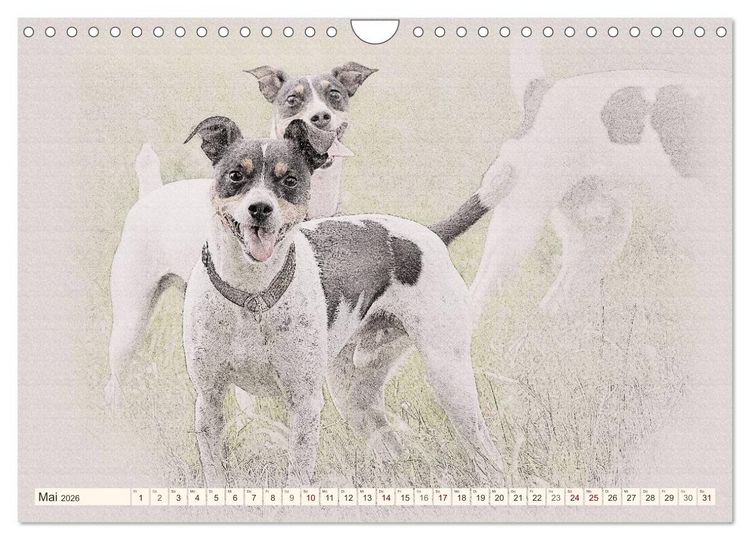 Produktbild: Bodeguero Andaluz 2026 (Wandkalender 2026 DIN A4 quer), CALVENDO Monatskalender