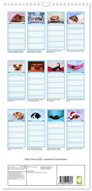 Produktbild: Familienplaner 2026 - S&uuml;&szlig;e Tr&auml;ume 2026 - schlafende Hundewelpen mit 5 Spalten (Wandkalender, 21 x 45 cm) CALVENDO