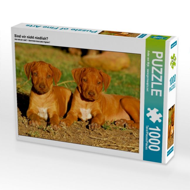 Produktbild: CALVENDO Puzzle Sind wir nicht niedlich? | 1000 Teile Lege-Gr&ouml;&szlig;e 64x48cm Foto-Puzzle f&uuml;r gl&uuml;ckliche Stunden