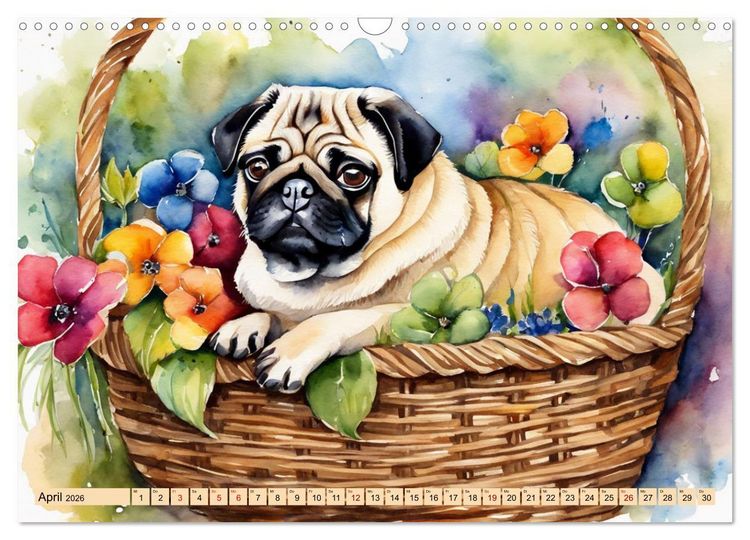 Produktbild: Knuffige M&ouml;pse (Wandkalender 2026 DIN A3 quer), CALVENDO Monatskalender