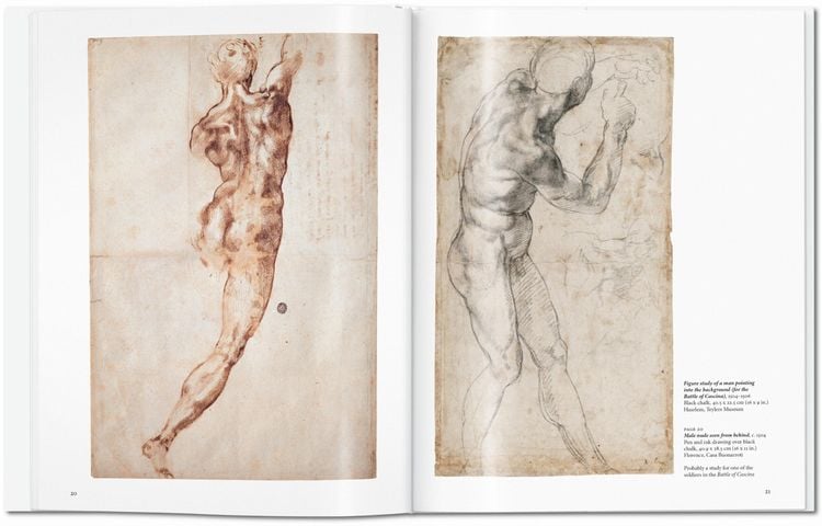 Produktbild: Michelangelo
