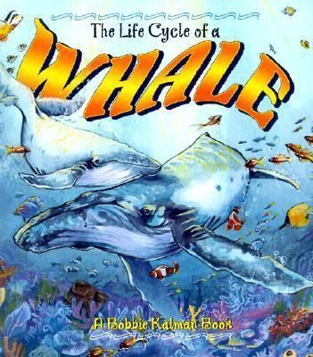 Produktbild: The Life Cycle of a Whale