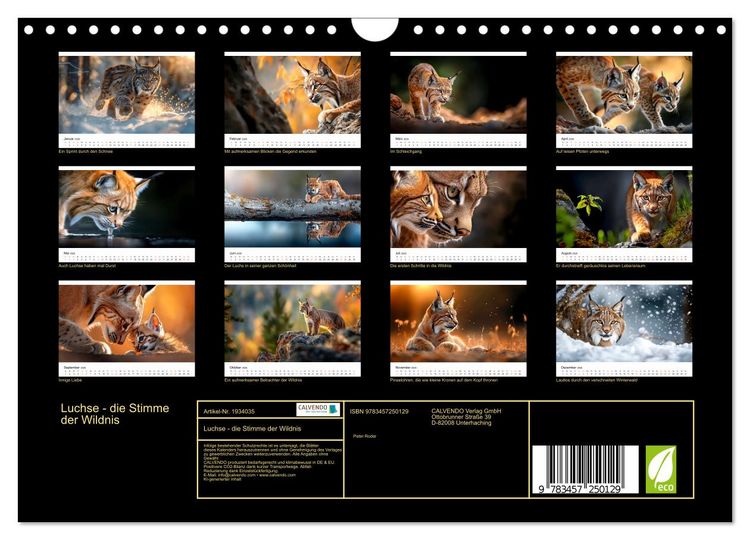 Produktbild: Luchse - die Stimme der Wildnis (Wandkalender 2026 DIN A4 quer), CALVENDO Monatskalender