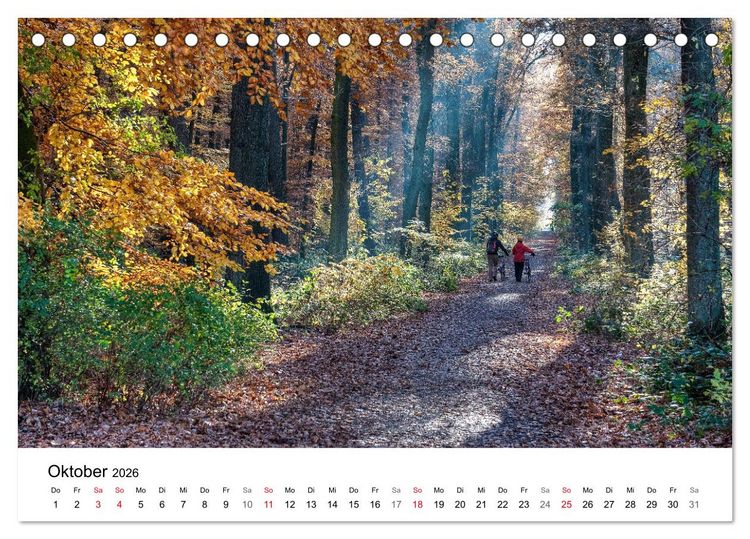 Produktbild: Paderborn - Die sch&ouml;nsten Seiten der Stadt (Tischkalender 2026 DIN A5 quer), CALVENDO Monatskalender