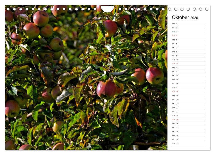 Produktbild: Landschaften des Kraichgaus (Wandkalender 2026 DIN A4 quer), CALVENDO Monatskalender