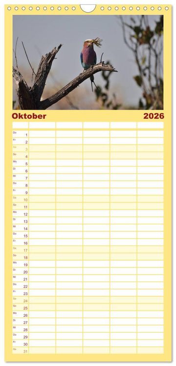 Produktbild: Familienplaner 2026 - S&uuml;dafrika - Big 5 und mehr mit 5 Spalten (Wandkalender, 21 x 45 cm) CALVENDO