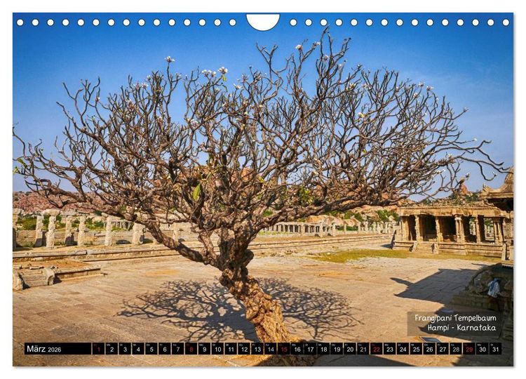 Produktbild: Der zauberhafte S&uuml;den Indiens (Wandkalender 2026 DIN A4 quer), CALVENDO Monatskalender