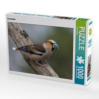 Produktbild: CALVENDO Puzzle Kernbei&szlig;er | 1000 Teile Lege-Gr&ouml;&szlig;e 64x48cm Foto-Puzzle f&uuml;r gl&uuml;ckliche Stunden