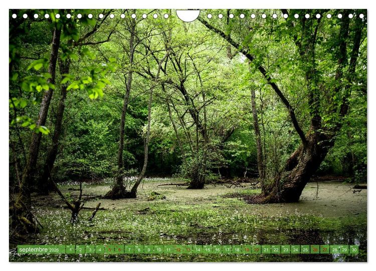 Produktbild: Les Hauts-de-France (Calendrier mural 2026 DIN A4 vertical), CALVENDO calendrier mensuel
