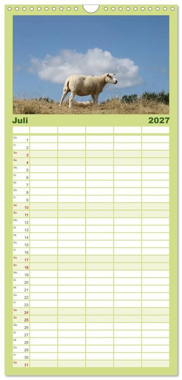Produktbild: Familienplaner 2027 - Texel, eine Perle Frieslands mit 5 Spalten (Wandkalender, 21 x 45 cm) CALVENDO