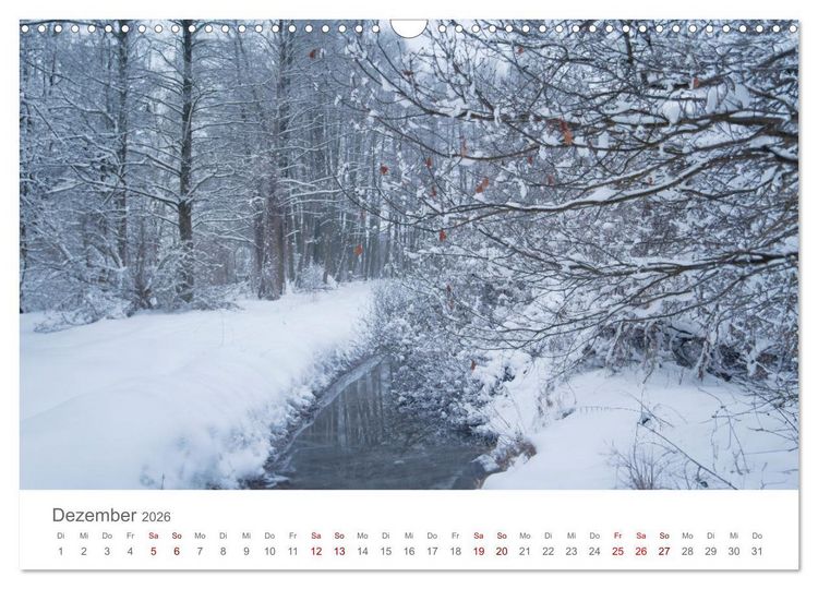 Produktbild: Spreewald - Ein Naturparadies (Wandkalender 2026 DIN A3 quer), CALVENDO Monatskalender