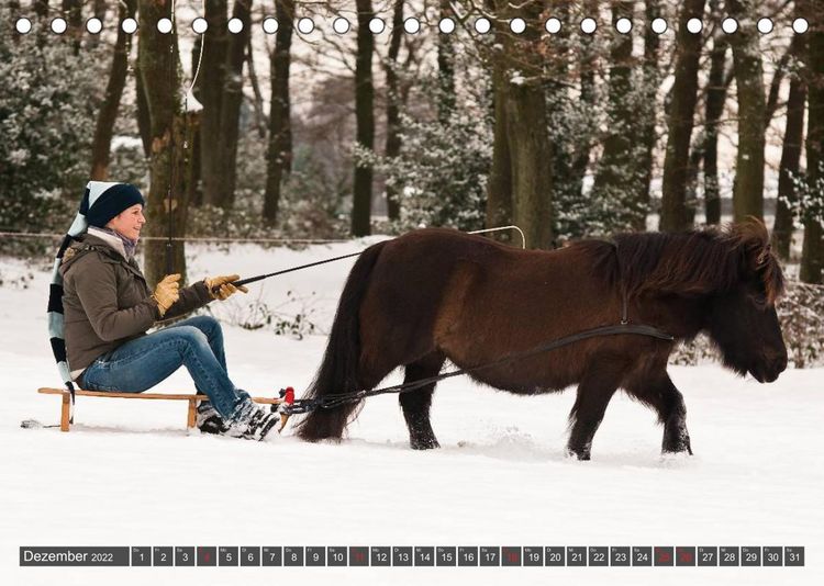 Produktbild: Pferd und Mensch in Harmonie (Tischkalender 2022 DIN A5 quer)