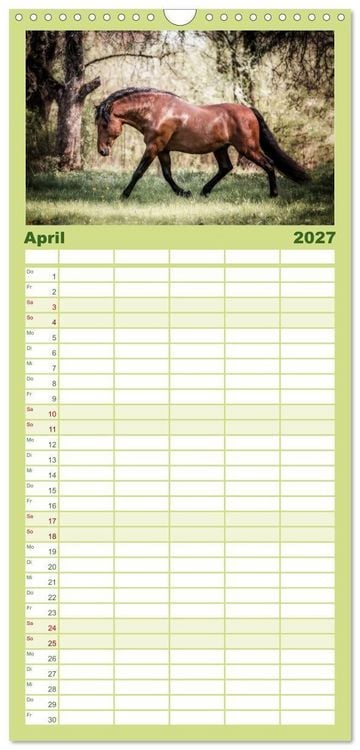 Produktbild: Familienplaner 2027 - Die Faszinierende Welt der Pferde mit 5 Spalten (Wandkalender, 21 x 45 cm) CALVENDO