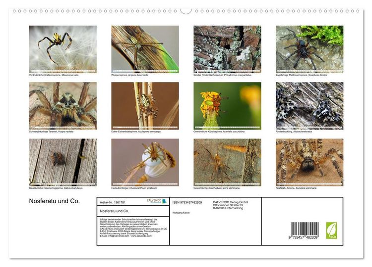 Produktbild: Nosferatu und Co. (hochwertiger Premium Wandkalender 2026 DIN A2 quer), Kunstdruck in Hochglanz