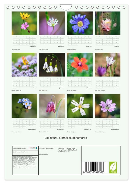 Produktbild: Les fleurs, &eacute;ternelles &eacute;phem&egrave;res (Calendrier mural 2027 DIN A4 horizontal), CALVENDO calendrier mensuel
