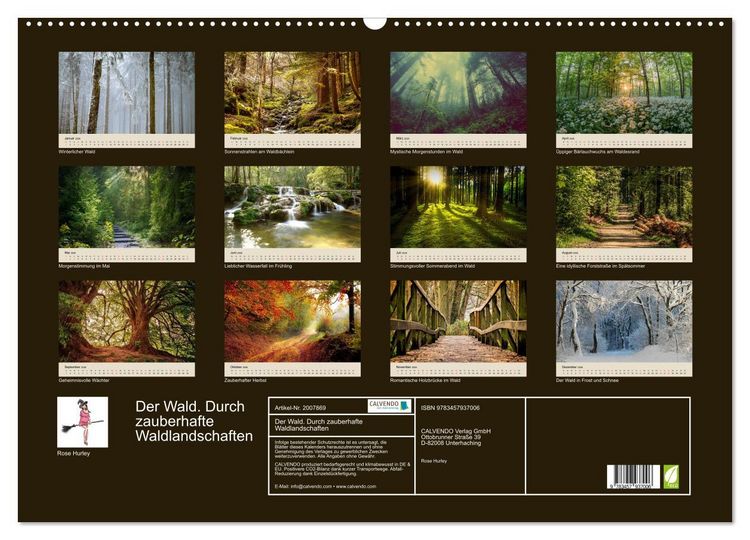 Produktbild: Der Wald. Durch zauberhafte Waldlandschaften (Wandkalender 2026 DIN A2 quer), CALVENDO Monatskalender