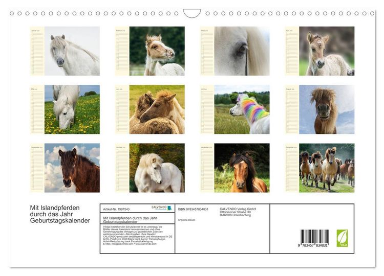 Produktbild: Mit Islandpferden durch das Jahr Geburtstagskalender (Wandkalender 2026 DIN A3 quer), CALVENDO Monatskalender