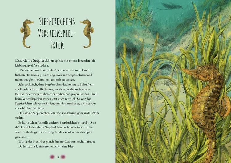 Produktbild: Wunderwelt der Tiere im Meer