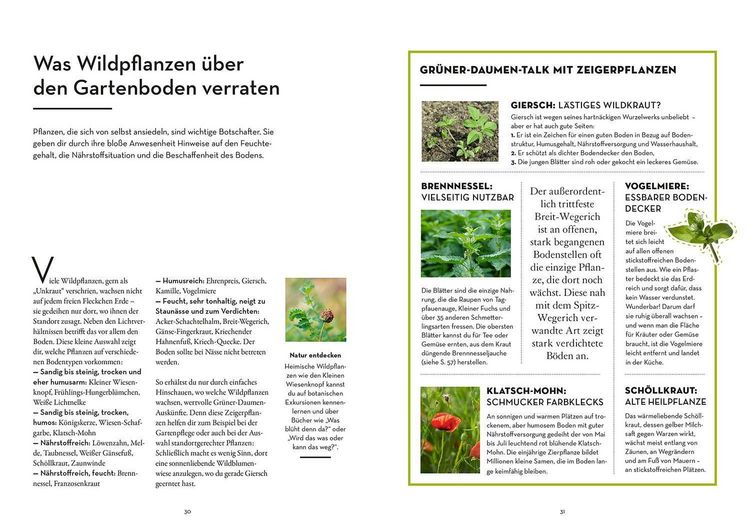 Produktbild: Sprachkurs gr&uuml;ner Daumen