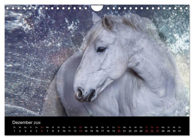 Produktbild: Pferde zum Tr&auml;umen (Wandkalender 2026 DIN A4 quer), CALVENDO Monatskalender
