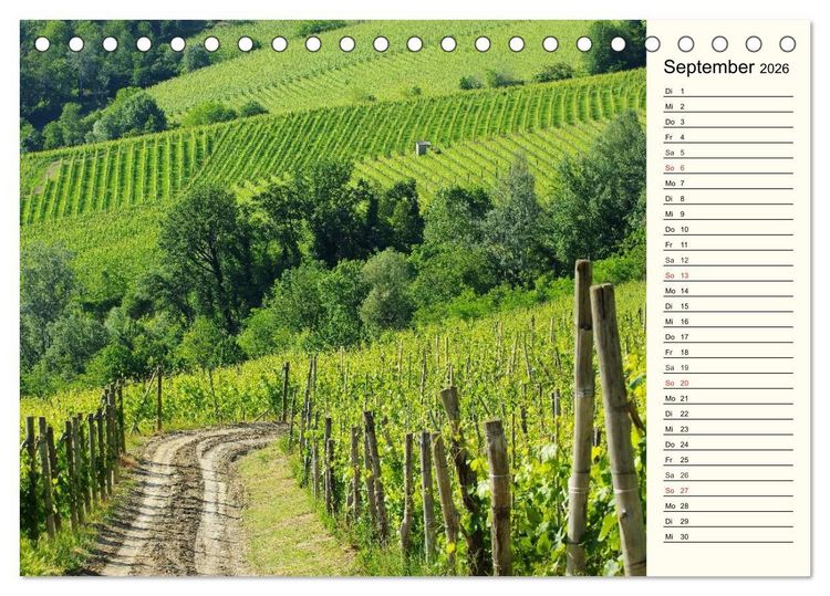 Produktbild: Die Langhe - Im Herzen des Piemonts (Tischkalender 2026 DIN A5 quer), CALVENDO Monatskalender
