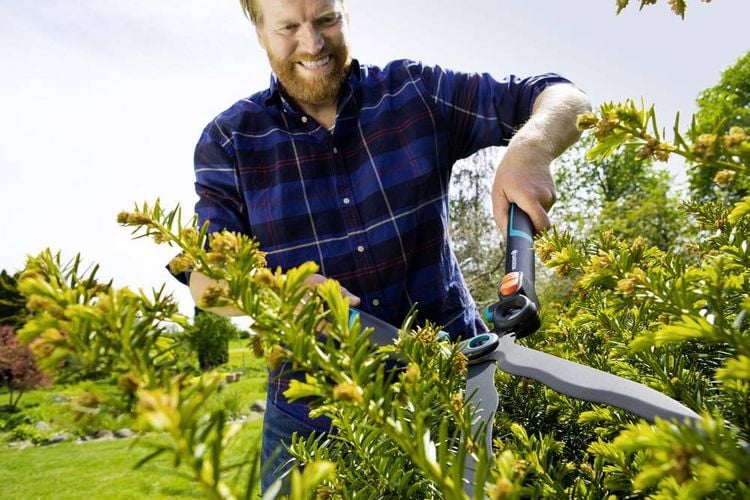 Produktbild: GARDENA 2in1 EnergyCut Hand Heckenschere