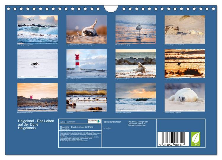 Produktbild: Helgoland - Das Leben auf der D&uuml;ne Helgolands (Wandkalender 2026 DIN A4 quer), CALVENDO Monatskalender