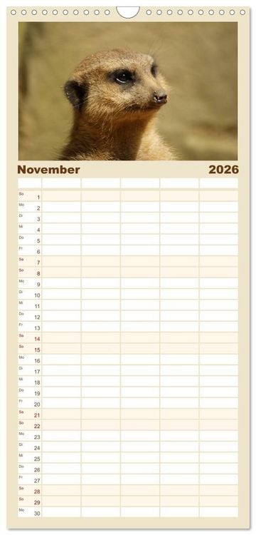 Produktbild: Familienplaner 2026 - Erdm&auml;nnchen: Zusammen sind wir stark mit 5 Spalten (Wandkalender, 21 x 45 cm) CALVENDO
