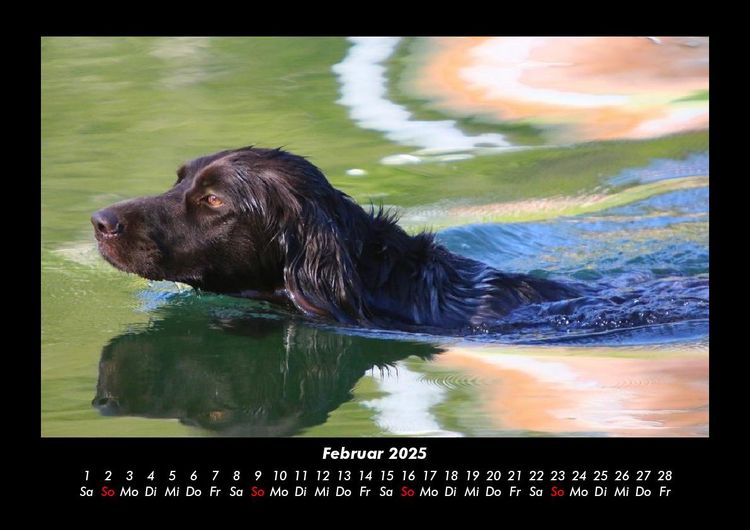 Produktbild: Tage am See 2025 Fotokalender DIN A3