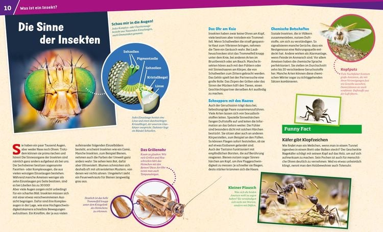 Produktbild: WAS IST WAS Band 30 Insekten. Überlebenskünstler auf sechs Beinen