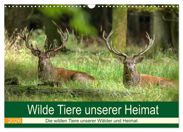 Produktbild: Wilde Tiere unserer Heimat (Wandkalender 2026 DIN A3 quer), CALVENDO Monatskalender