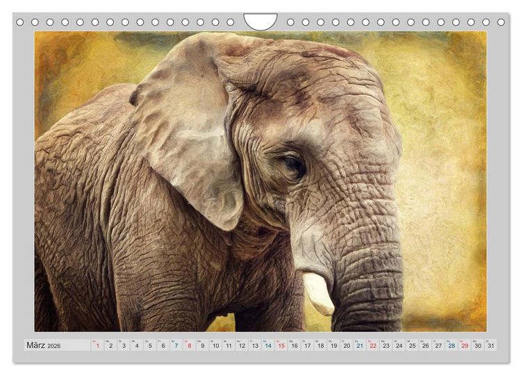 Produktbild: Elefanten - Portraits der besonderen Art (Wandkalender 2026 DIN A4 quer), CALVENDO Monatskalender