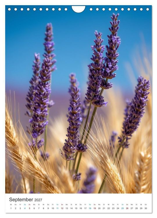 Produktbild: Der Sommer bl&uuml;ht violett (Wandkalender 2027 DIN A4 hoch), CALVENDO Monatskalender