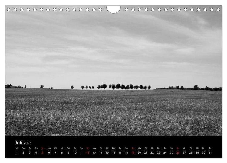 Produktbild: B&auml;ume trees 2026 (Wandkalender 2026 DIN A4 quer), CALVENDO Monatskalender