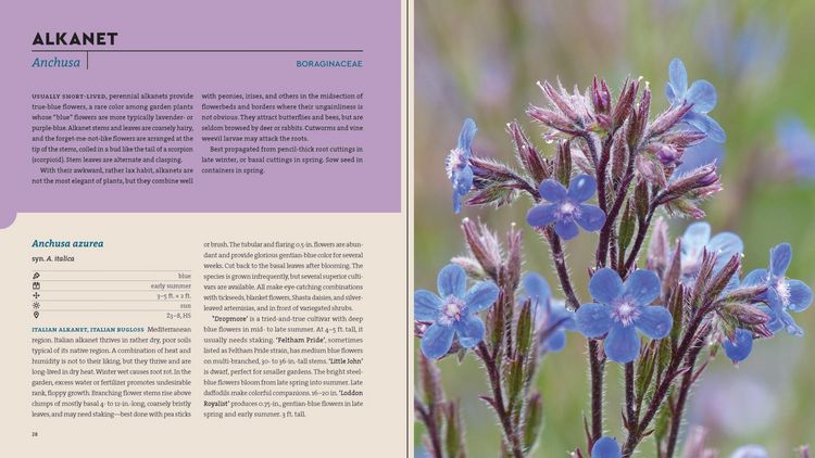 Produktbild: Perennials for the Midwest