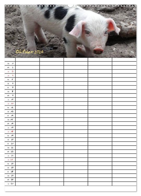 Produktbild: Bauernhoftiere Familienplaner (Wandkalender 2026 DIN A2 hoch), CALVENDO Monatskalender
