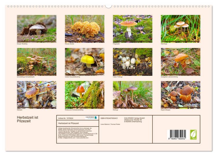 Produktbild: Herbstzeit ist Pilzezeit (hochwertiger Premium Wandkalender 2026 DIN A2 quer), Kunstdruck in Hochglanz