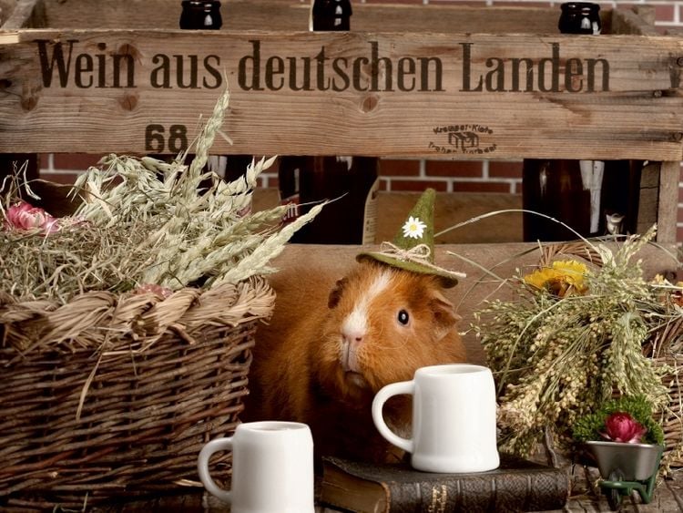 Produktbild: CALVENDO Puzzle Wiesn | 1000 Teile Lege-Gr&ouml;&szlig;e 64x48cm Foto-Puzzle f&uuml;r gl&uuml;ckliche Stunden