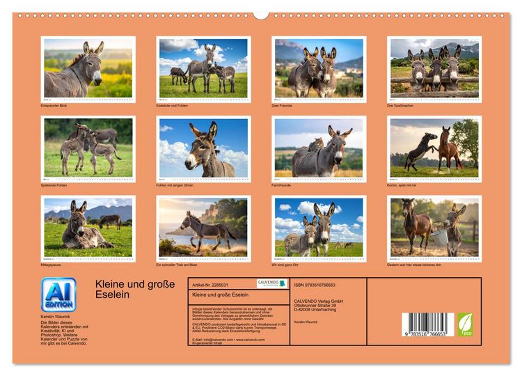 Produktbild: Kleine und gro&szlig;e Eselein (hochwertiger Premium Wandkalender 2027 DIN A2 quer), Kunstdruck in Hochglanz