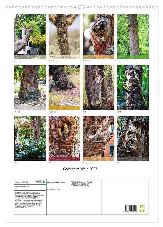 Produktbild: Geister im Wald 2027 (Wandkalender 2027 DIN A2 hoch), CALVENDO Monatskalender
