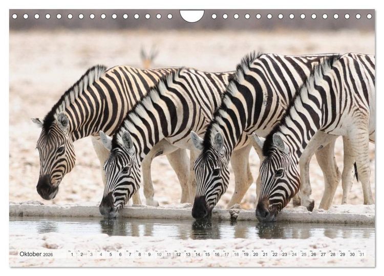 Produktbild: Afrikas Tierwelt Christian Heeb (Wandkalender 2026 DIN A4 quer), CALVENDO Monatskalender