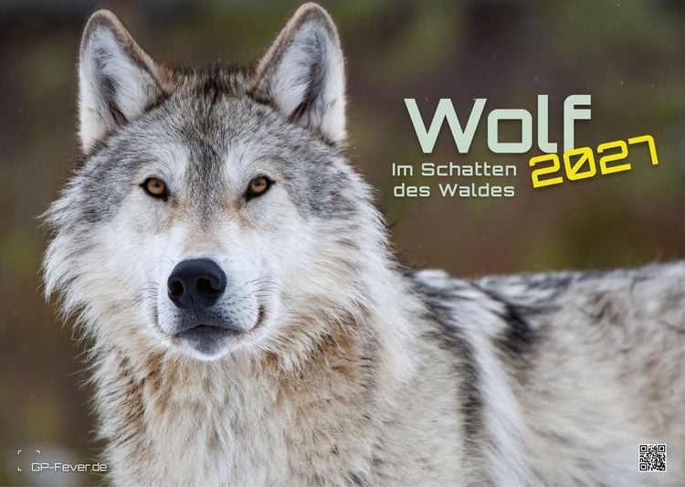 Produktbild: Wolf &ndash; Im Schatten des Waldes - 2027 - Kalender DIN A3