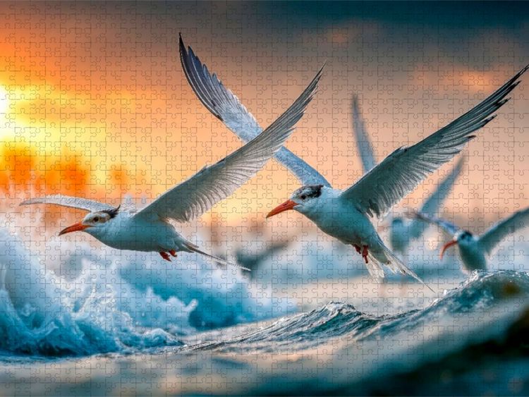 Produktbild: CALVENDO Puzzle Ob sich hier die Fische fangen lassen | 1000 Teile Lege-Gr&ouml;&szlig;e 64x48cm Foto-Puzzle f&uuml;r gl&uuml;ckliche Stunden
