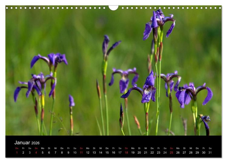 Produktbild: Sibirien- Impressionen von der Lena (Wandkalender 2026 DIN A3 quer), CALVENDO Monatskalender
